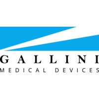 GALLINI FRANCE logo - Similar company to Histone Solutions