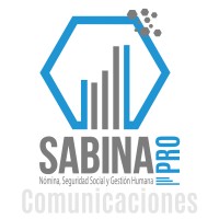SABINA CONSULTORES SAS logo - Similar company to C-Mes Solutions Ltd.