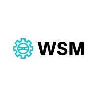 WSM Technosoft logo - Similar company to 9To9Clouds.Com