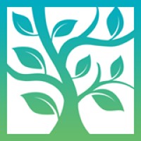 Castalis logo - Similar company to Softadev - Digital Agency