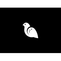 Black Pigeon logo - Similar company to Piblitz