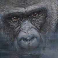 The Gorilla Factory LLP logo - Similar company to Isi As