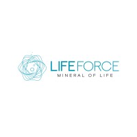 Lifeforce logo - Similar company to Argeloji Information Technologies