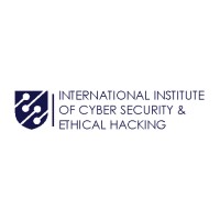 IICSEH logo - Similar company to Skc Infotech