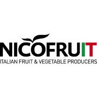 Nicofruit - Frutthera Growers logo - Similar company to Tenute Zuccarella