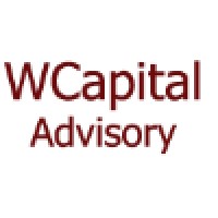 Wellington Capital Advisory logo - Similar company to Sake Capital Partners