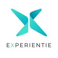 Experientie logo - Similar company to Protegie Consultancy