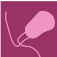 Pathogens MDPI logo - Similar company to Microorganisms Mdpi