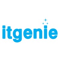 IT Genie FZE logo - Similar company to Rightstar It Solution