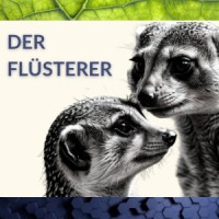 Der Flüsterer logo - Similar company to Cosmicgold