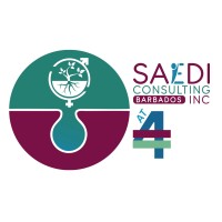 SAEDI Consulting logo - Similar company to Biased Fund