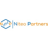 Niteo Partners logo - Similar company to Niteo Partners