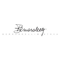 BERNARDELLI STORES logo - Similar company to Tiro A Segno Nazionale A.S.D. - Sez. Di Como