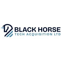 Blackhorse Tech Acquisition Ltd logo - Similar company to Young Leaders Initiative World