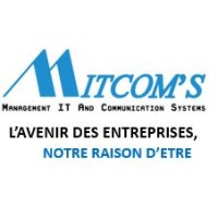 Groupe MITCOM's logo - Similar company to La Petite Damba