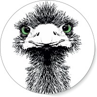 EMU-Instruments logo - Similar company to Scenius