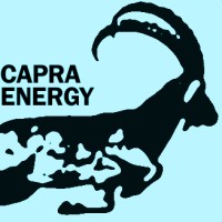 Capra Energy Group logo - Similar company to Capra Energy Solutions - Helical Piers