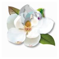 Magnolia Park Arts & Community logo - Similar company to Nurtured Tx