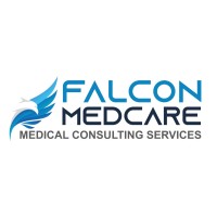 LEADING FALCON LLC logo - Similar company to Findcourse.Net