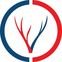 Carolina Vascular Care logo - Similar company to Termobuild