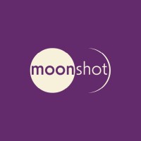 Moonshot Pictures logo - Similar company to Dynamic Intelligence Solutions