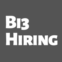Bi3 Hiring logo - Similar company to Bi3