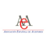 Asociación Española De Auditores (Aea)