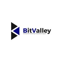 BitValley Ltd logo - Similar company to Bitvalley Digital