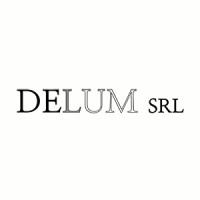 Delum S.R.L. logo - Similar company to Studio Stilistico