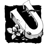 Studio Understory logo - Similar company to Strategic Event Procurement