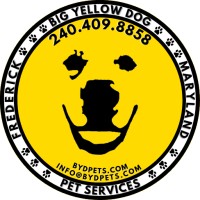 Big Yellow Dog Pet Services logo - Similar company to Toby & Linus