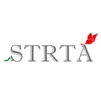 STRTA Consulting Services Private Limited logo - Similar company to Svn Optronics Pvt Ltd