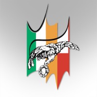 Irish Polish Society logo - Similar company to Manami