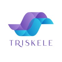 Triskele logo - Similar company to Gokonect