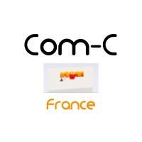 Com-C France SAS 👉 logo - Similar company to Noitulos / Solution