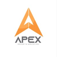 Apex Project Management Llc