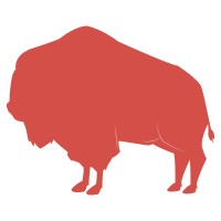 Big Buffalo Design