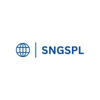 Swastik Novanyam Global Services Pvt Ltd logo - Similar company to Maxiple