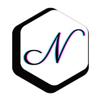 Nandraj Limited logo - Similar company to Arya Projects Limited