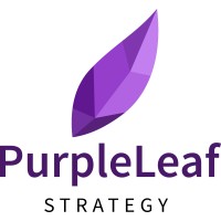 PurpleLeaf Strategy logo - Similar company to Teqnum Solution