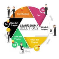 Lean6Sigma Solutions logo - Similar company to Trifecta Content Studio