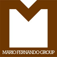 MARIO FERNANDO GROUP SRL logo - Similar company to Gap Evo Srl