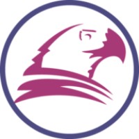 Naif Falcon logo - Similar company to Su-Mak Power Systems Fze