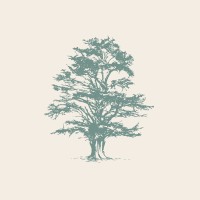 Cedros Asesoría Financiera logo - Similar company to Wym Group