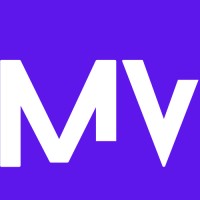 Memecoins Ventures logo - Similar company to Memecoins.Fi