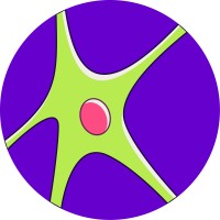 Kytos logo - Similar company to Your Msl Coach