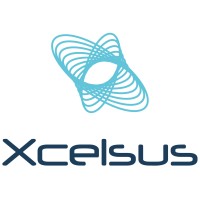 Xcelsus GmbH logo - Similar company to Ctt Computertechnik Ag