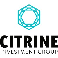Citrine Investment Group logo - Similar company to Jaybird Capital Llc