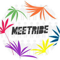 Meetribe logo - Similar company to Meettribe