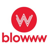 Blowww 4 Analytics logo - Similar company to Hippos - High Performance & Potentials